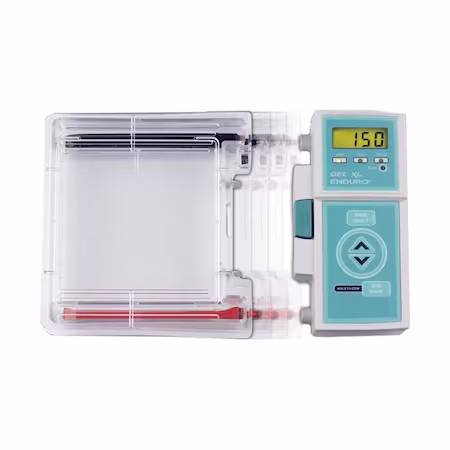 Sistema Mini Gel Enduro Gel XL A